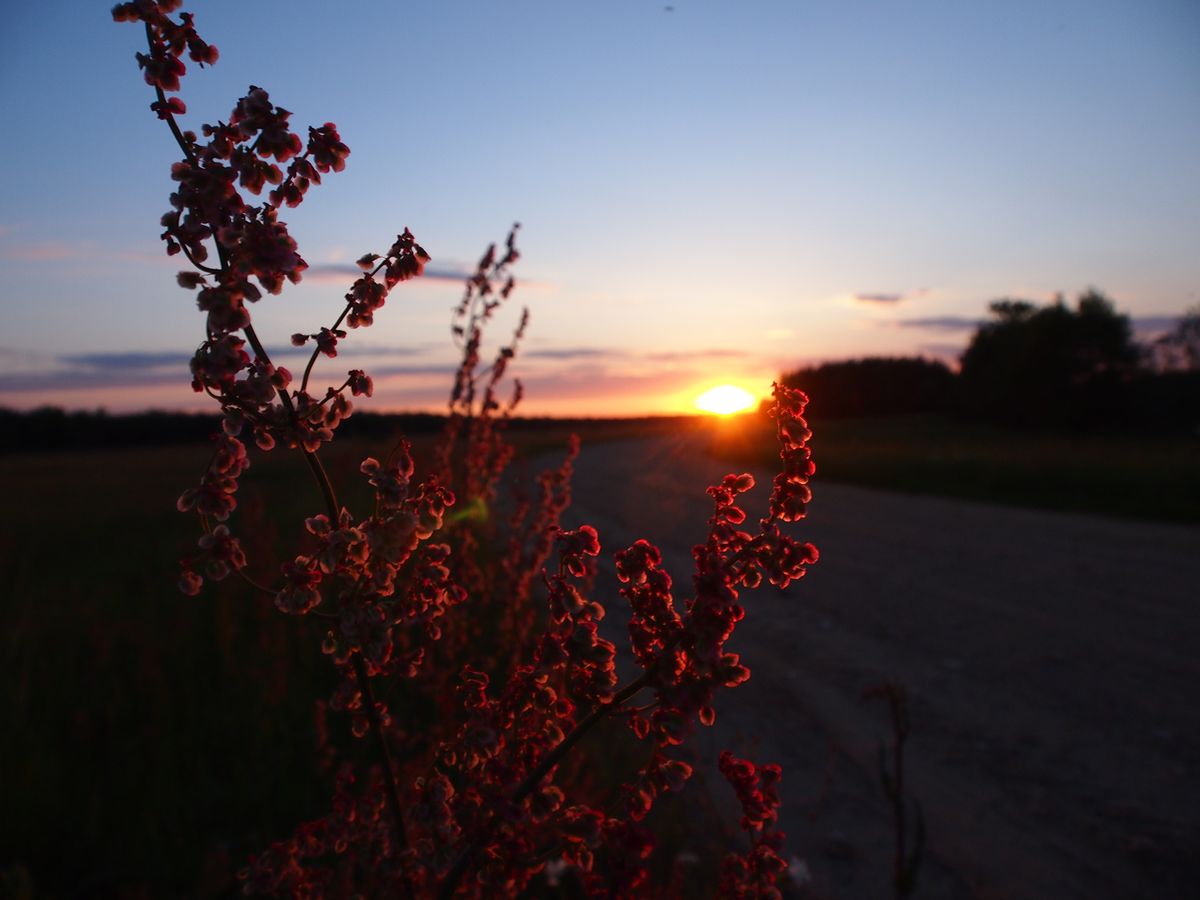 A magic of the setting sun