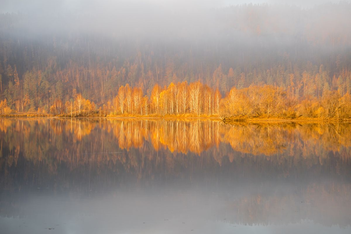 Поздняя осень