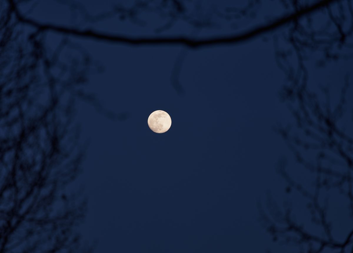 Vollmond im Rheinland