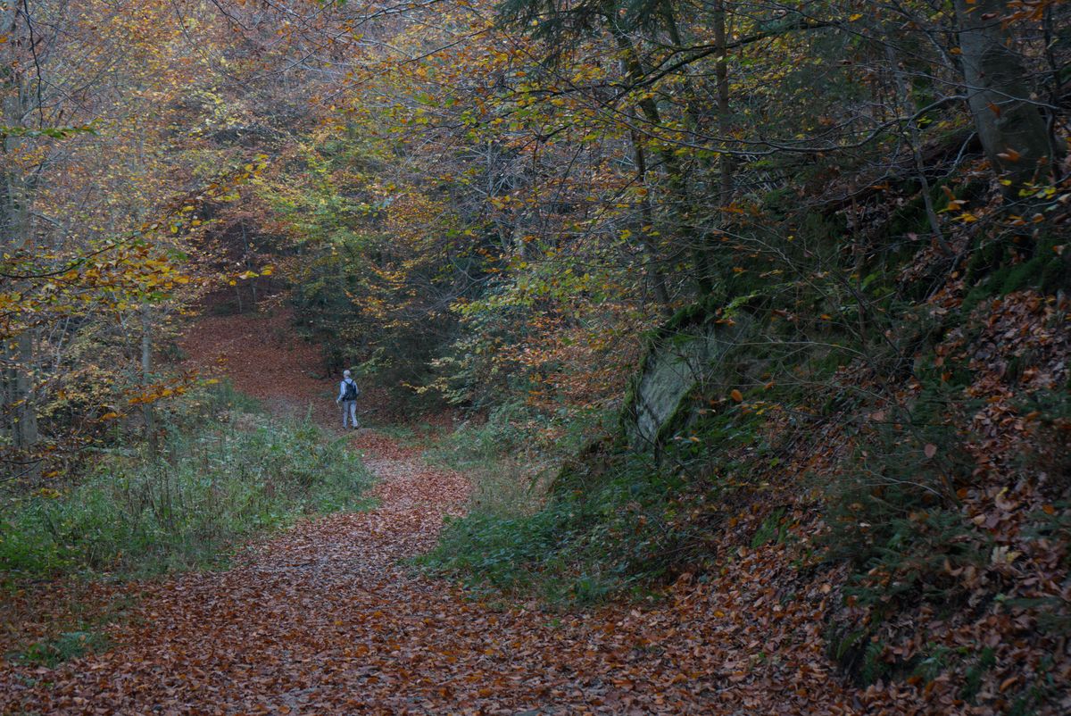 Herbstfarben