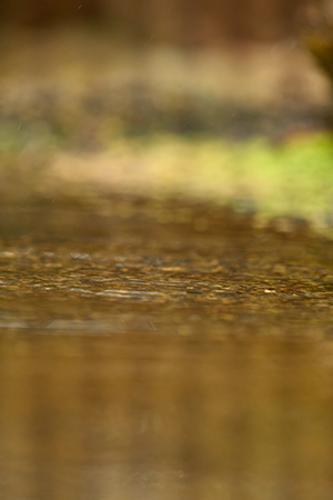 silencioso foto NO ráfaga.png