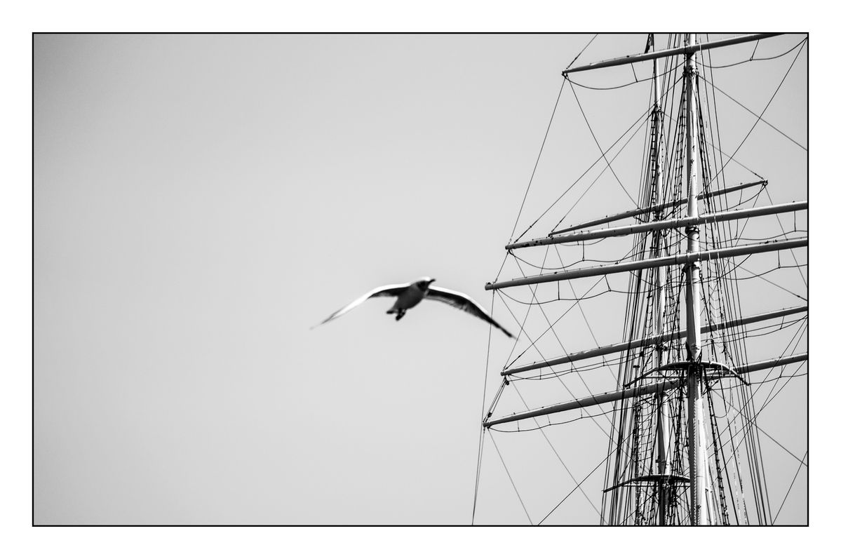 Seagull, Boat